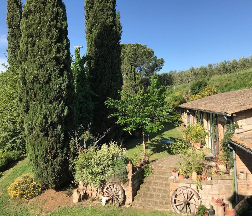Podere Porcino Civitella d'Agliano Luaran gambar