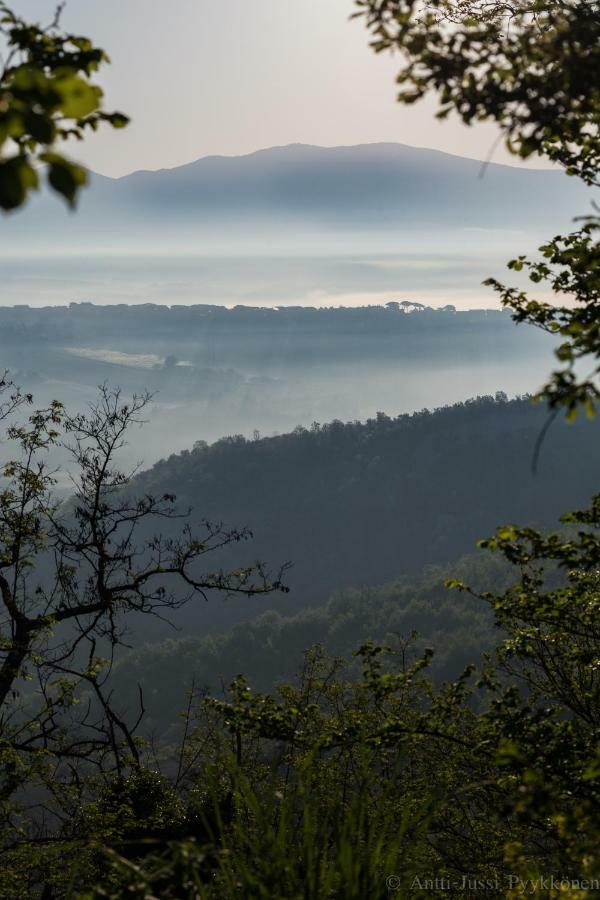 Podere Porcino Civitella d'Agliano Luaran gambar