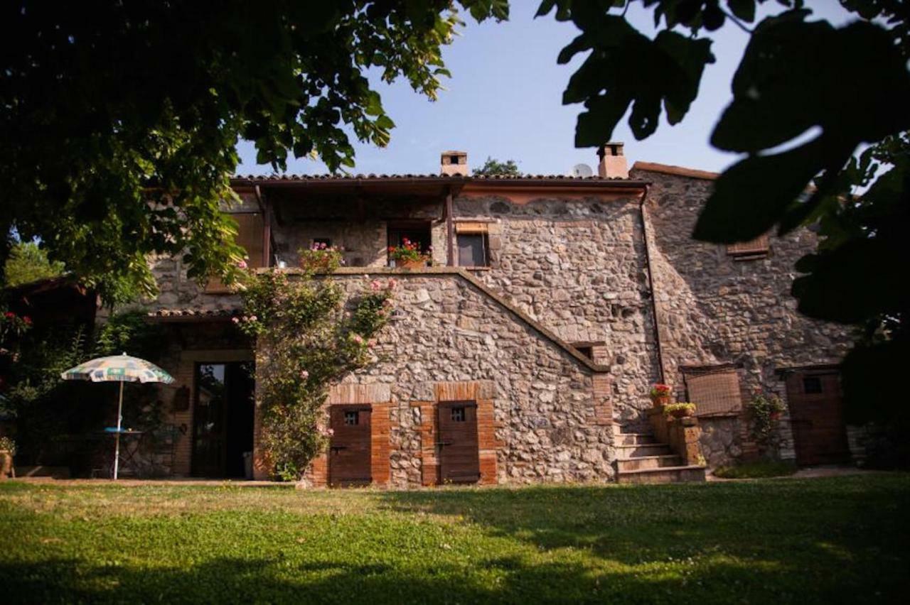 Podere Porcino Civitella d'Agliano Luaran gambar