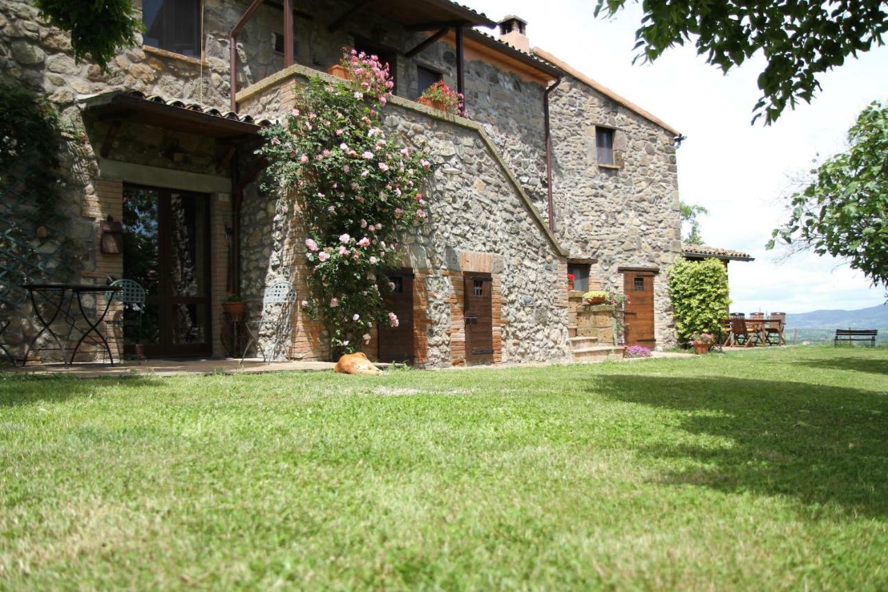Podere Porcino Civitella d'Agliano Luaran gambar