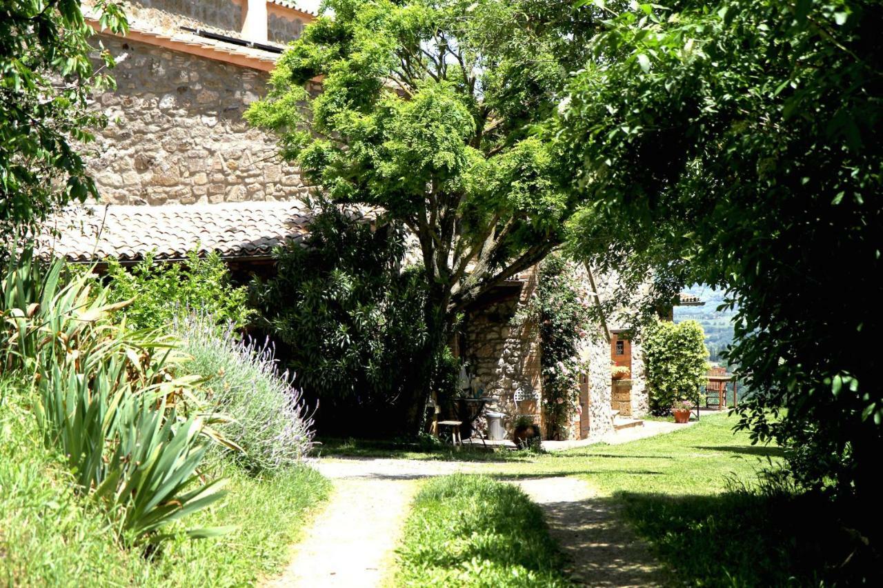 Podere Porcino Civitella d'Agliano Luaran gambar