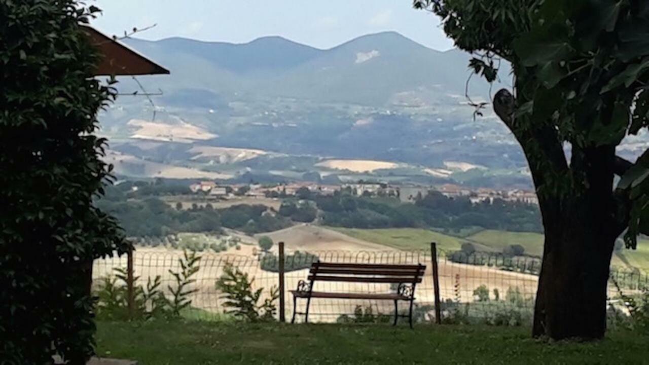 Podere Porcino Civitella d'Agliano Luaran gambar