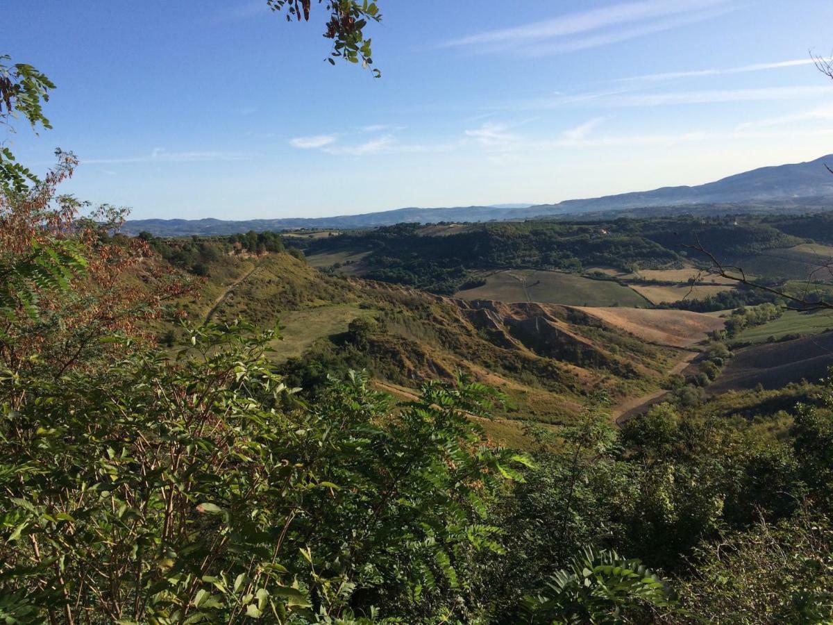 Podere Porcino Civitella d'Agliano Luaran gambar